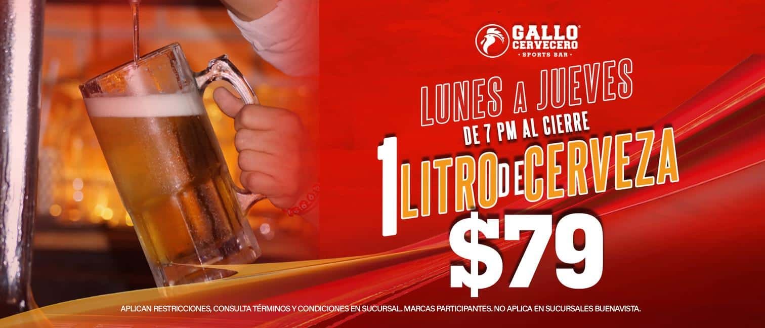 WEB 1 LT CERVEZA $79 (1)
